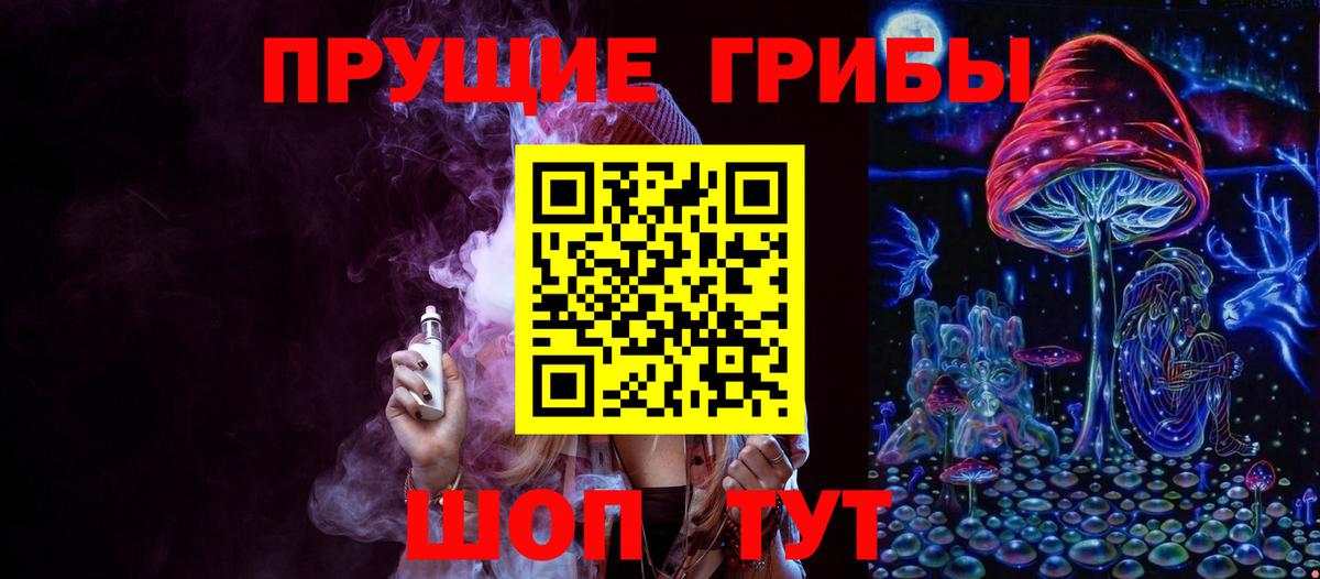 Галлюциногенные грибы Psilocybe  Вход с VPN  Зеленокумск 