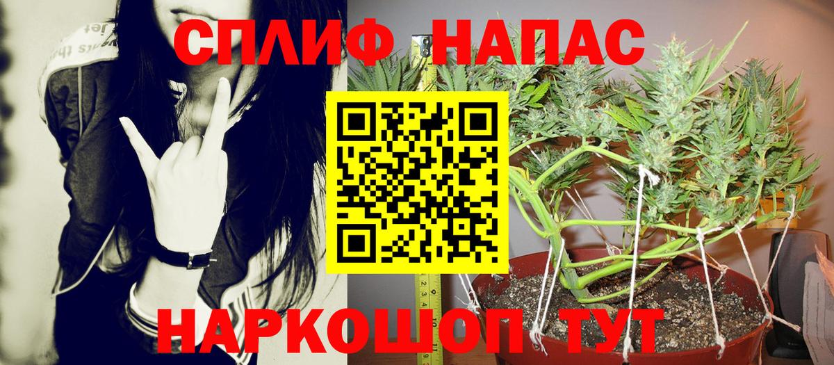 Бошки марихуана семена Зеленокумск